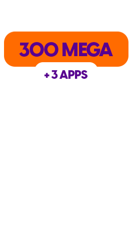 300 MB